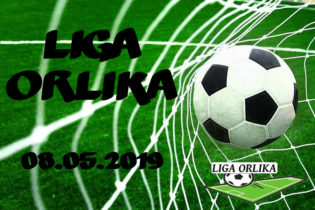 Liga Orlika