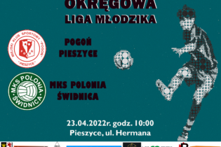 Okręgowa Liga Młodzika